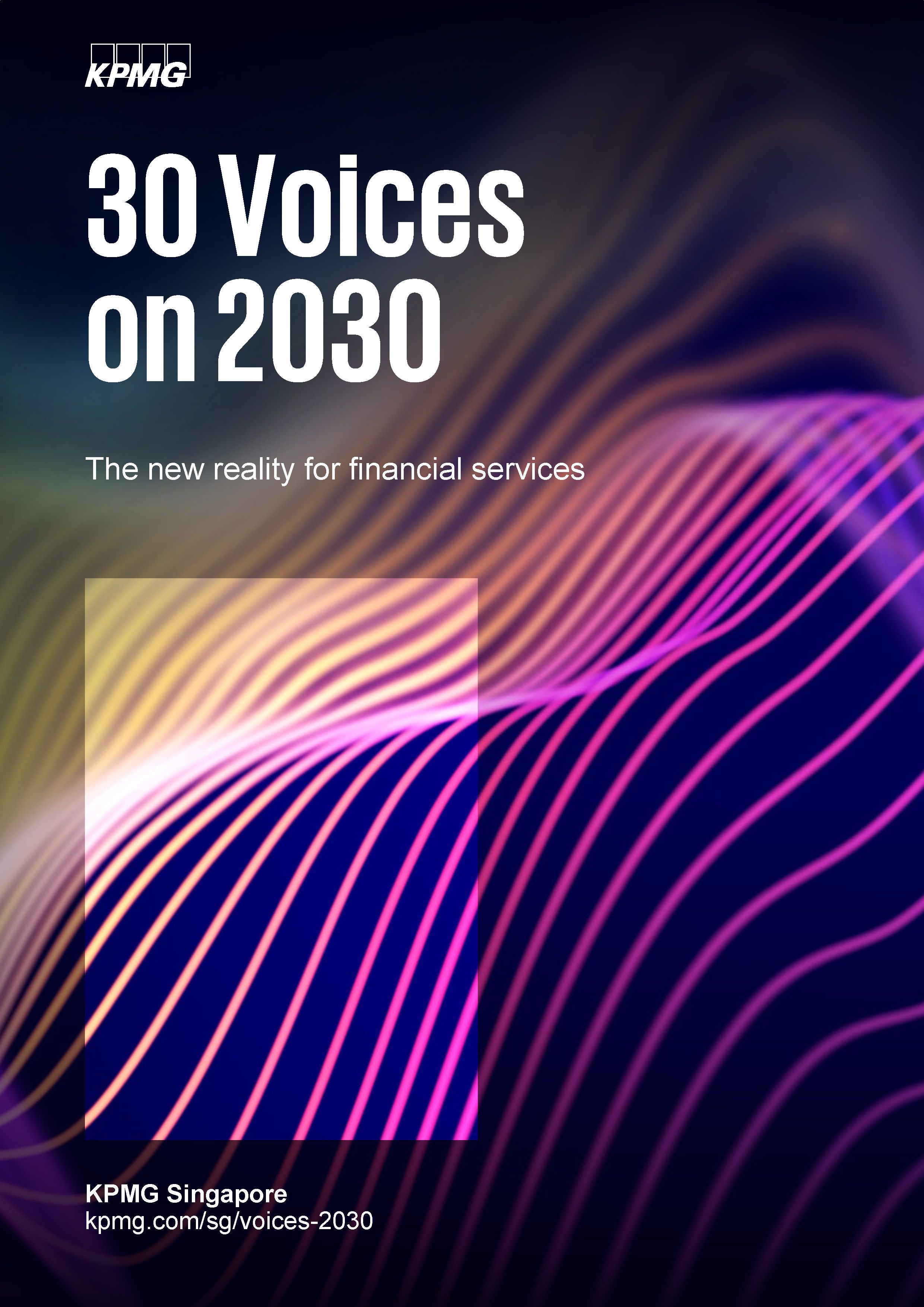30 Voices on 2030 cover