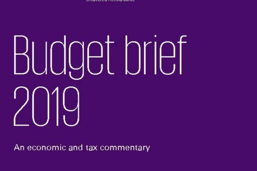 pakistan budget brief 2019