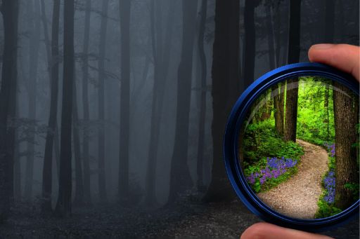 Looking through a lens to see a clear path through a dark forest