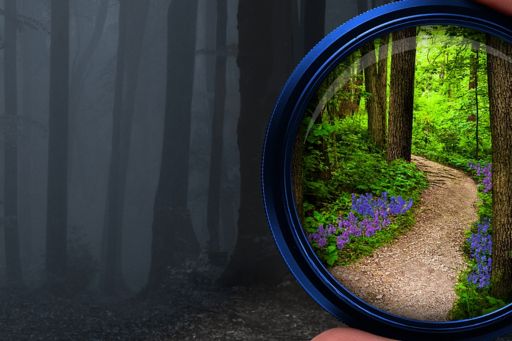 lens in a forest