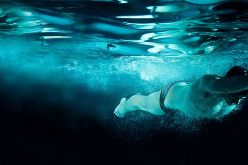 imagem de um homem mergulhando