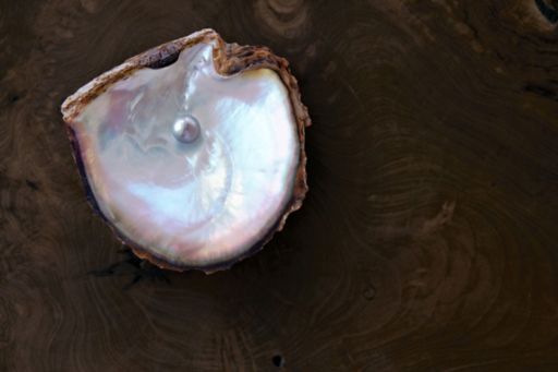 Oyster protecting a valuable Pearl on a rich wood background