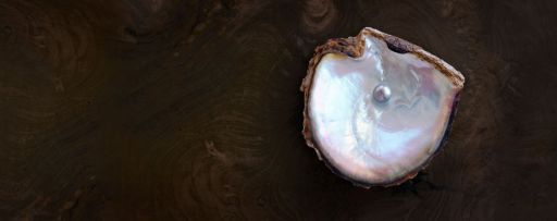 imagem de uma ostra com pérola dentro