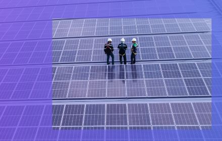 People standing at solar panels