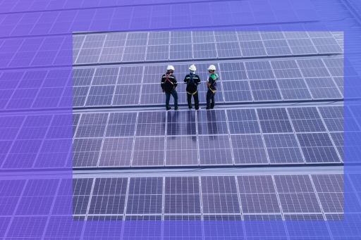 People standing at solar panels