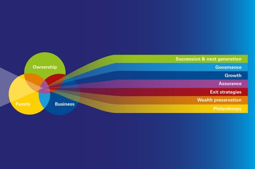 Family businesses model graphic