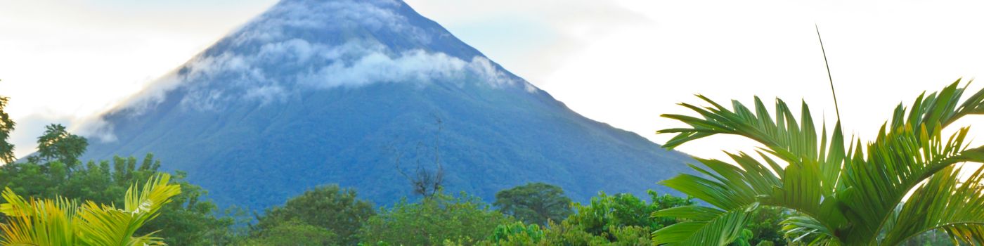 Gestión de la sostenibilidad: Costa Rica 2019 - 2020