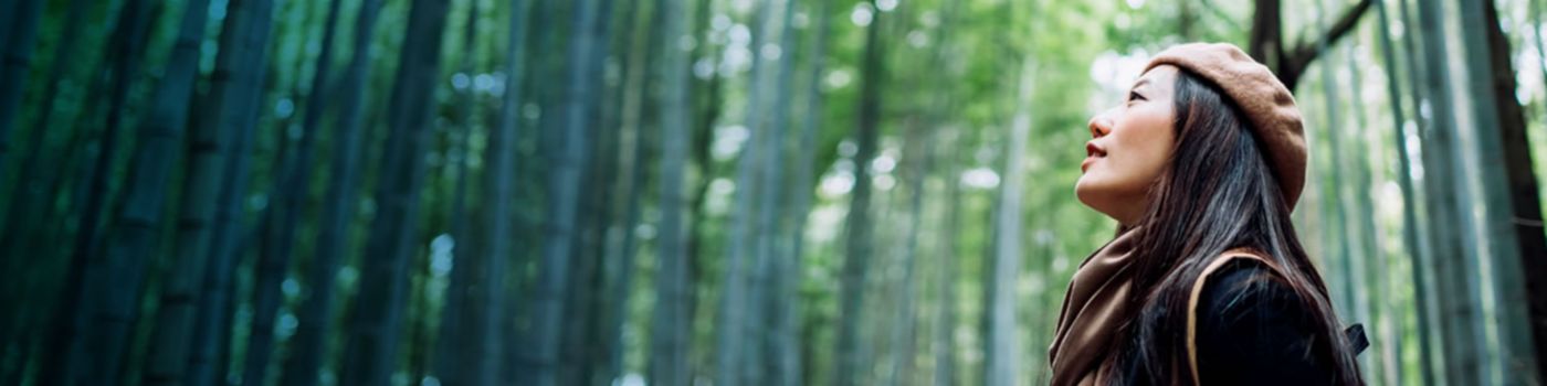 Asian-girl-bamboo-forest-banner