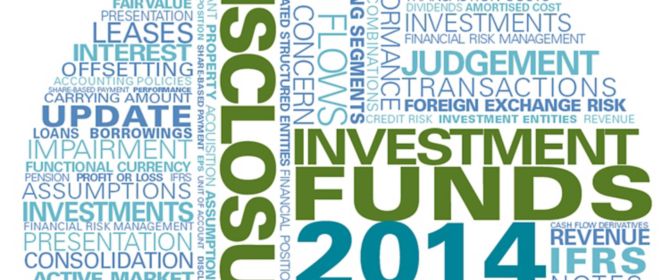 年度财务报表指引：投资基金披露范本