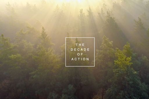 The decade of action