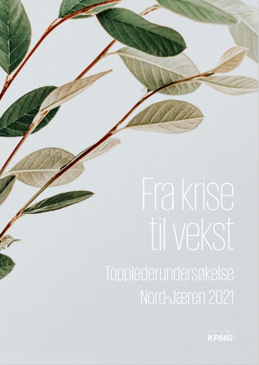 Topplederundersøkelsen Nord Jæren, PDF cover
