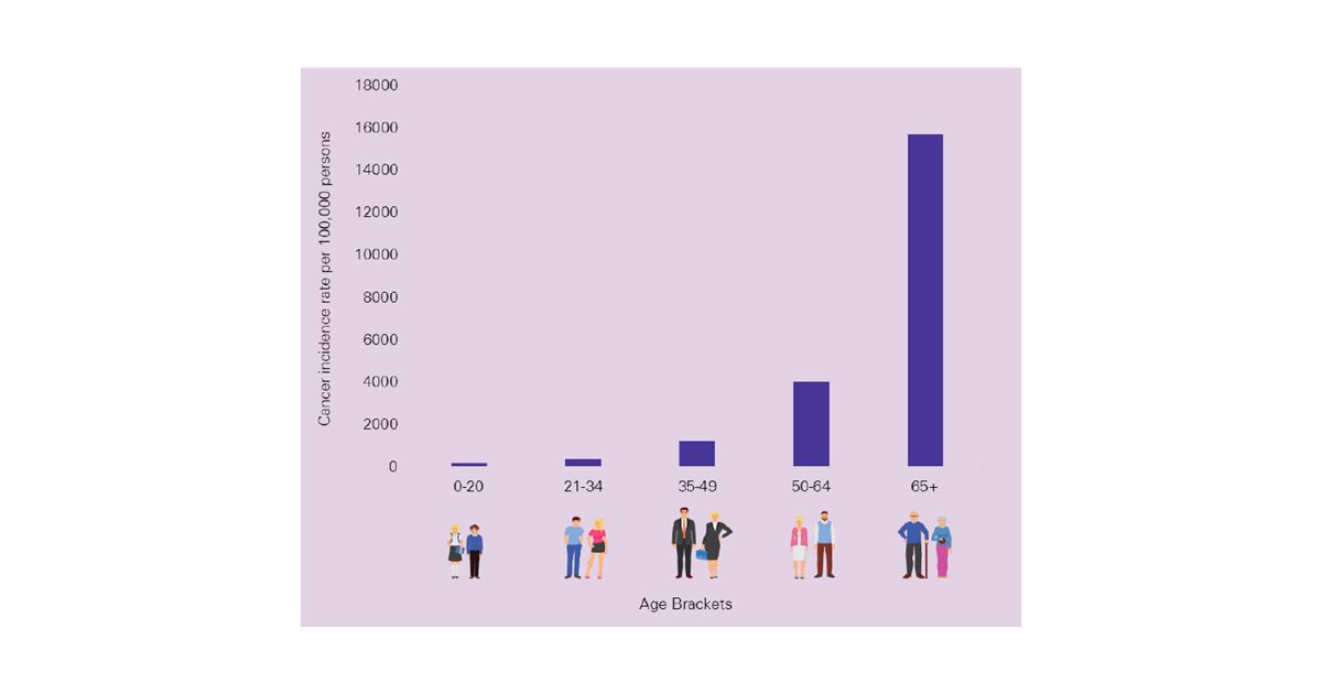 Cancer incidence in the world by age groups