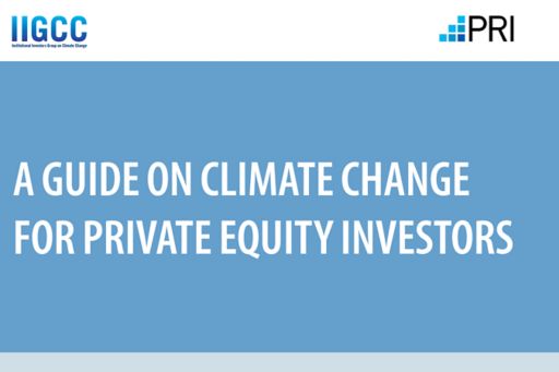 A Guide on Climate Change for Private Equity Investors