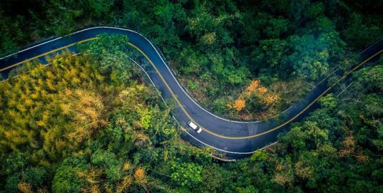 Aerial shot of a car on road in a forest