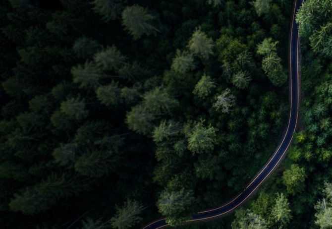Aerial shot of road in a forest