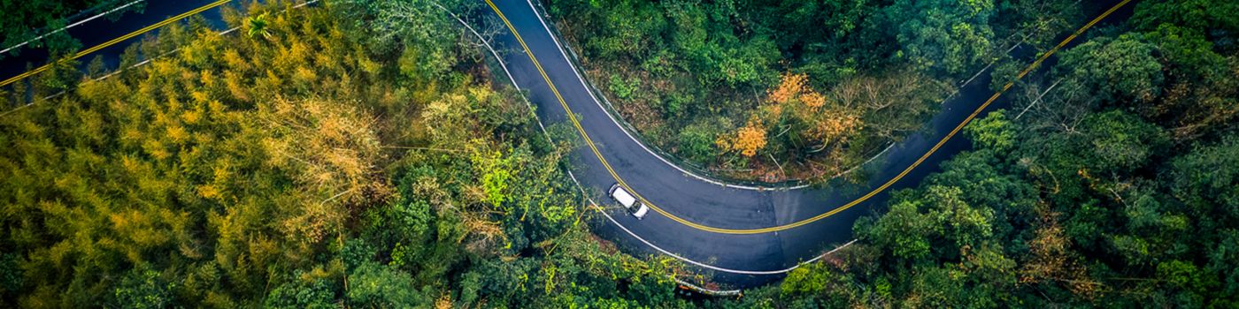 Car in rural road in deep rain forest with green tree forest view from above