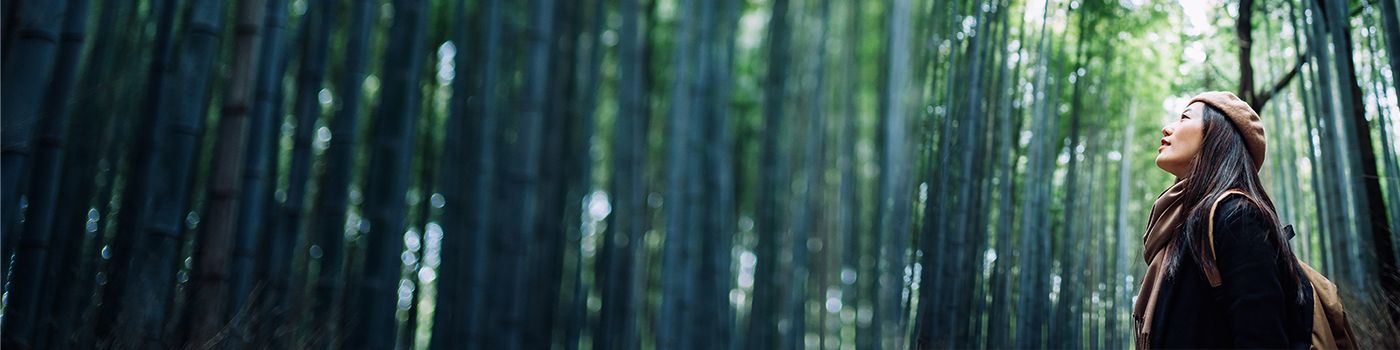 bamboo-forest-banner