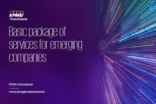 Basic package of services for emerging companies