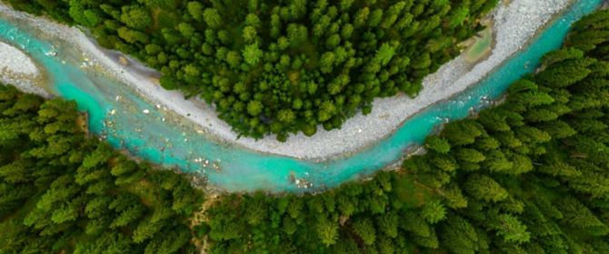 Blue river flowing through dense green forest top view
