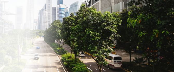 Busy city street with green trees