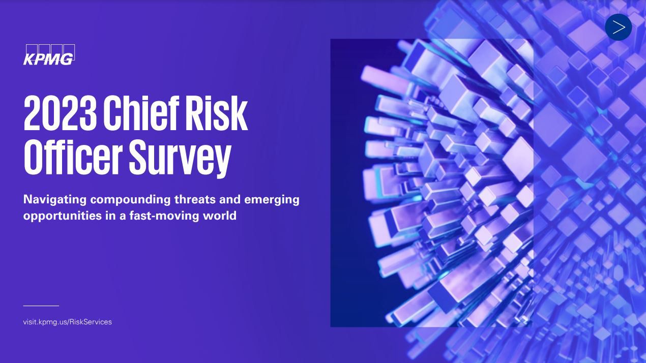 chief risk officer survey pdf cover
