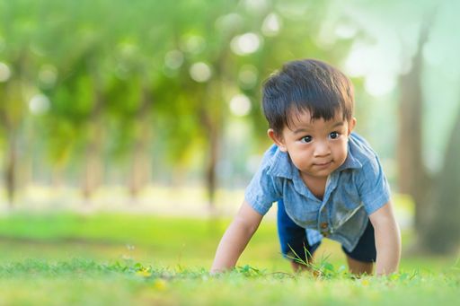 Small child with black hair crawling/ playing on grass in park