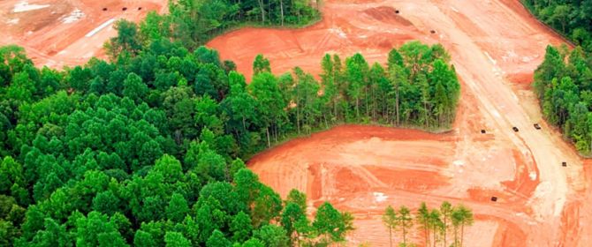 Deforestation for housing development