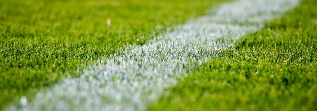 Close-up shot of football field white marking on grass