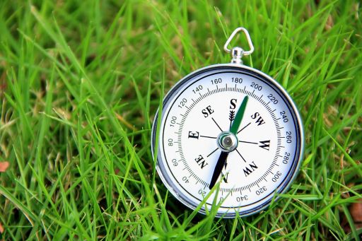 Compass in the grass