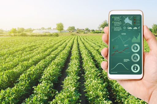 digitalização no agronegócio