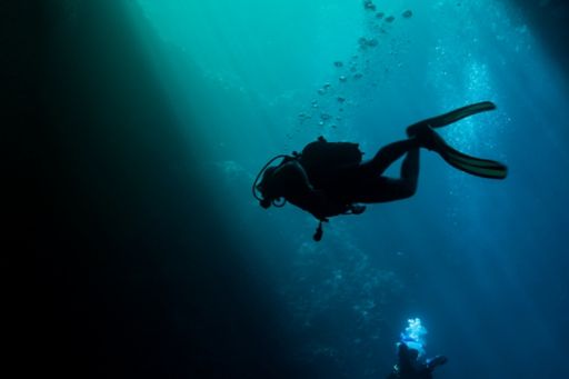 Diver swimming in ocean