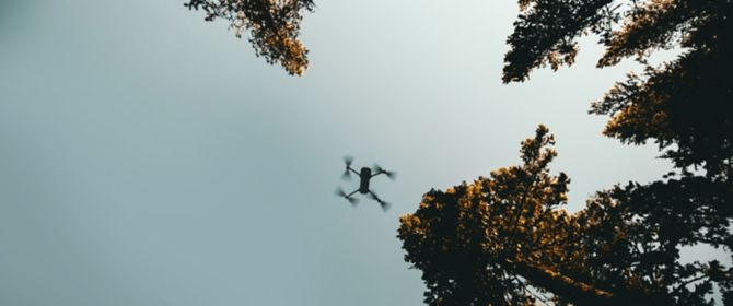 Drone flying between the trees