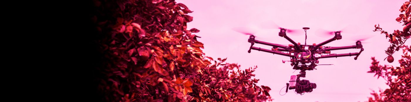 Drone flying in row of fruit tree farm