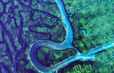 Aerial view of river