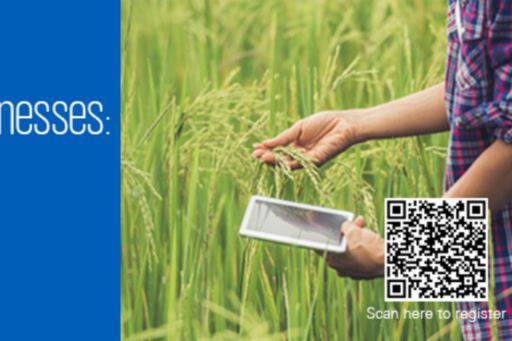 Agriculture and Food Businesses: Global Trends and Technologies