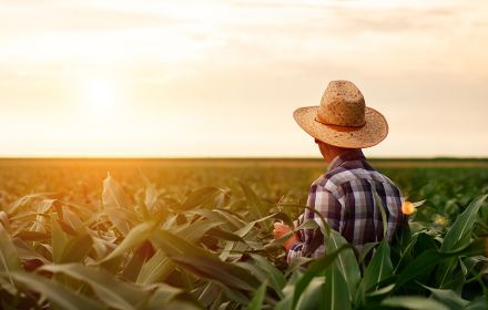 Farmer standing in farm during sunset