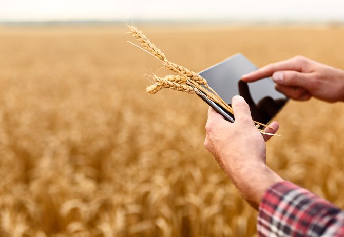 Farmer in field holding tablet computer