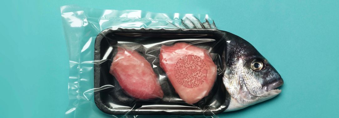 Fish wrapped in plastic packaging