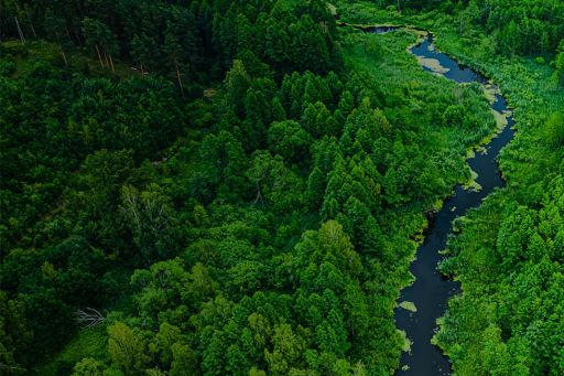 ESG Fluss fließt durch grünen Wald