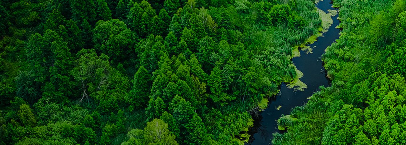 ESG Fluss fließt durch grünen Wald