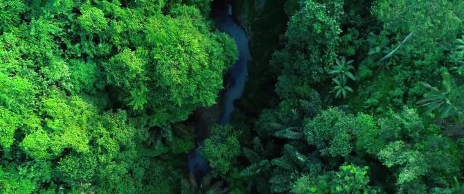 forest and river sustainability