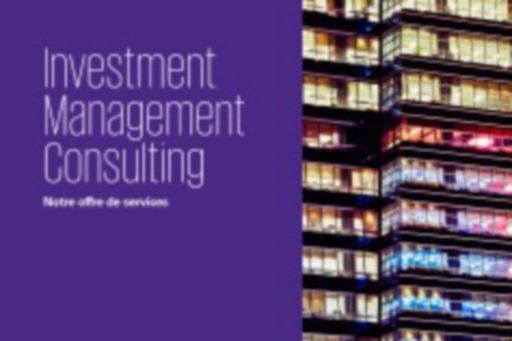 Investment Management Consulting