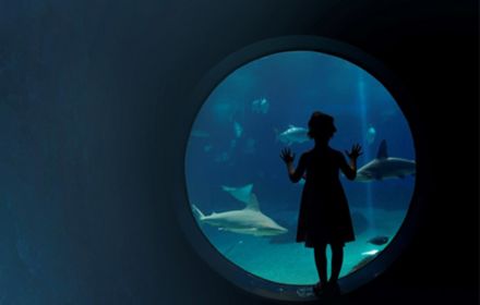Girl standing near a round window looking at fishes in aquarium