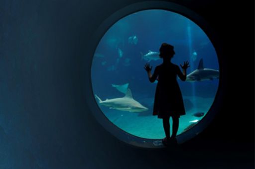 Girl standing at a round window looking at fish in an aquarium