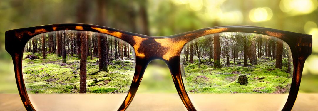 glasses in forest