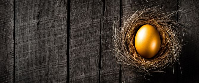 Golden Nest Egg On Rustic Wooden Table Background