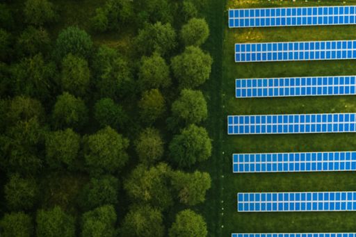 Green trees and solar panels
