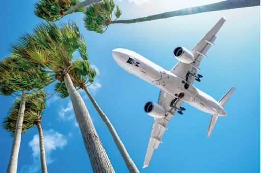Plane flying above palm trees
