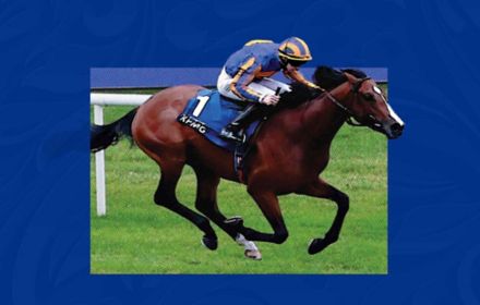 Racehorse and jockey on blue background