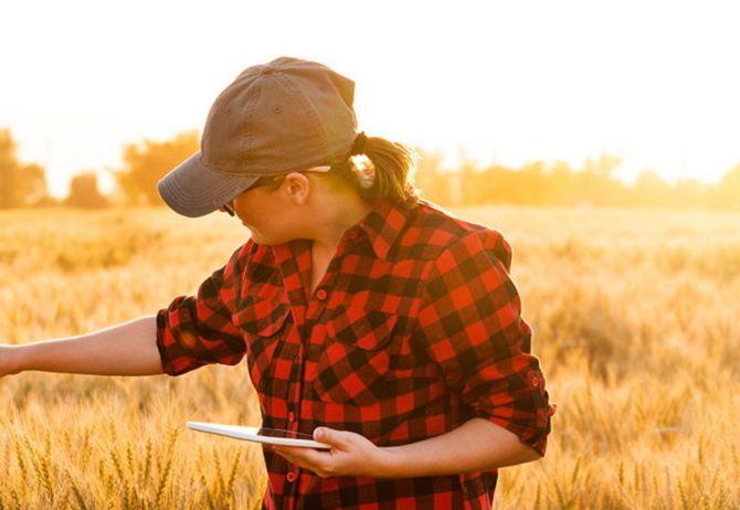 Farmer using tablet in field